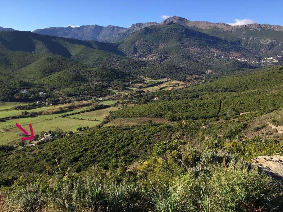 Belle Villa A Misincu- Du Cote De Chez Annabelle Cagnano Dış mekan fotoğraf