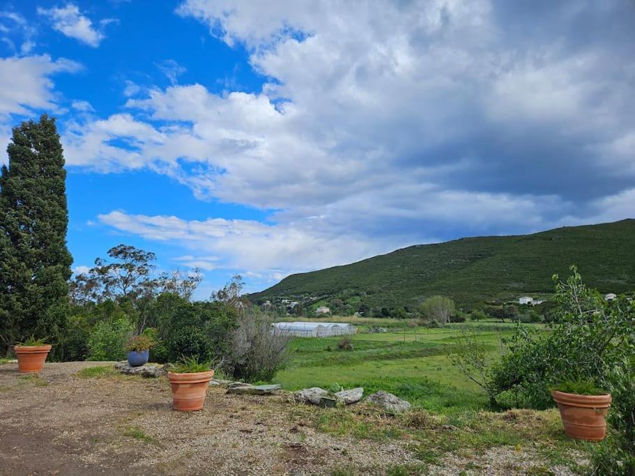 Belle Villa A Misincu- Du Cote De Chez Annabelle Cagnano Dış mekan fotoğraf