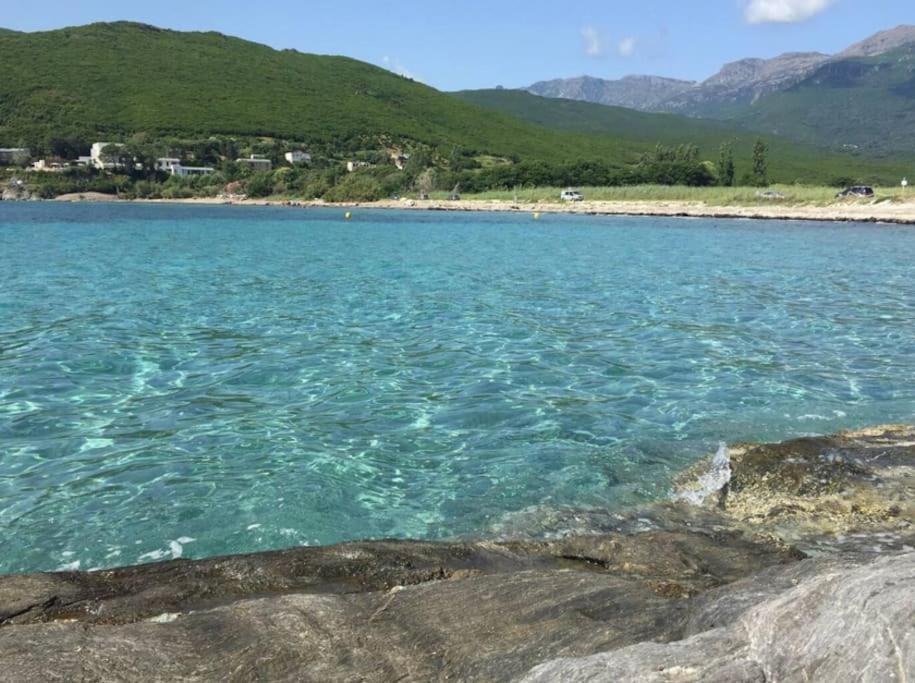 Belle Villa A Misincu- Du Cote De Chez Annabelle Cagnano Dış mekan fotoğraf