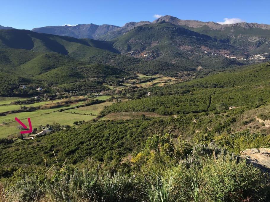 Belle Villa A Misincu- Du Cote De Chez Annabelle Cagnano Dış mekan fotoğraf